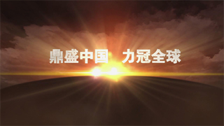 鼎力機(jī)械股份